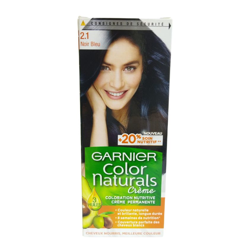GARNIER 2.1