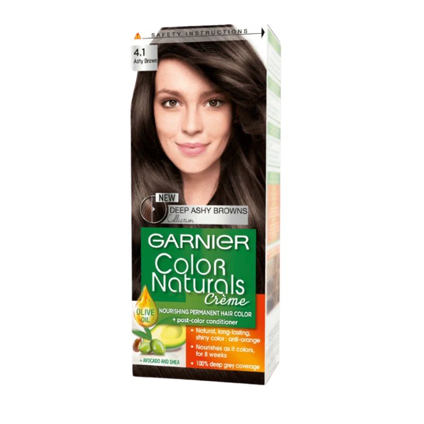 GARNIER 4.1