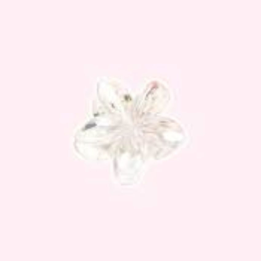 FACELAB - GRANDE PINCE CHEVEUX BLANC