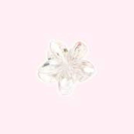 FACELAB - GRANDE PINCE CHEVEUX BLANC